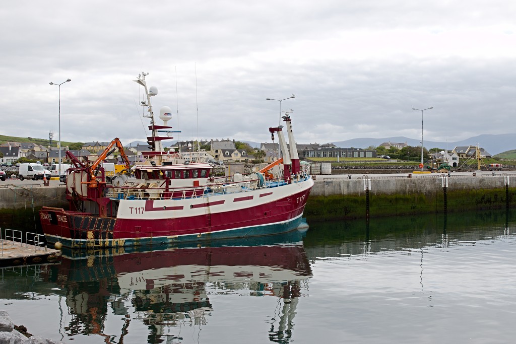 dingle killarney eire ierland Ierse graafschap ring of kerry de dolfijn Fungie Mount Brandon whiskey irish pub ale